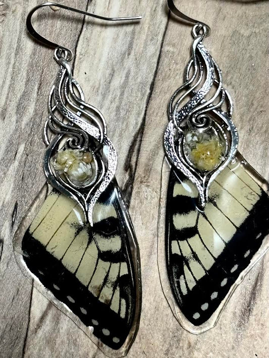 Fragments of Flight - Tiger Swallowtail Wing Earrings
