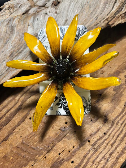 Sunlit Faith Brooch