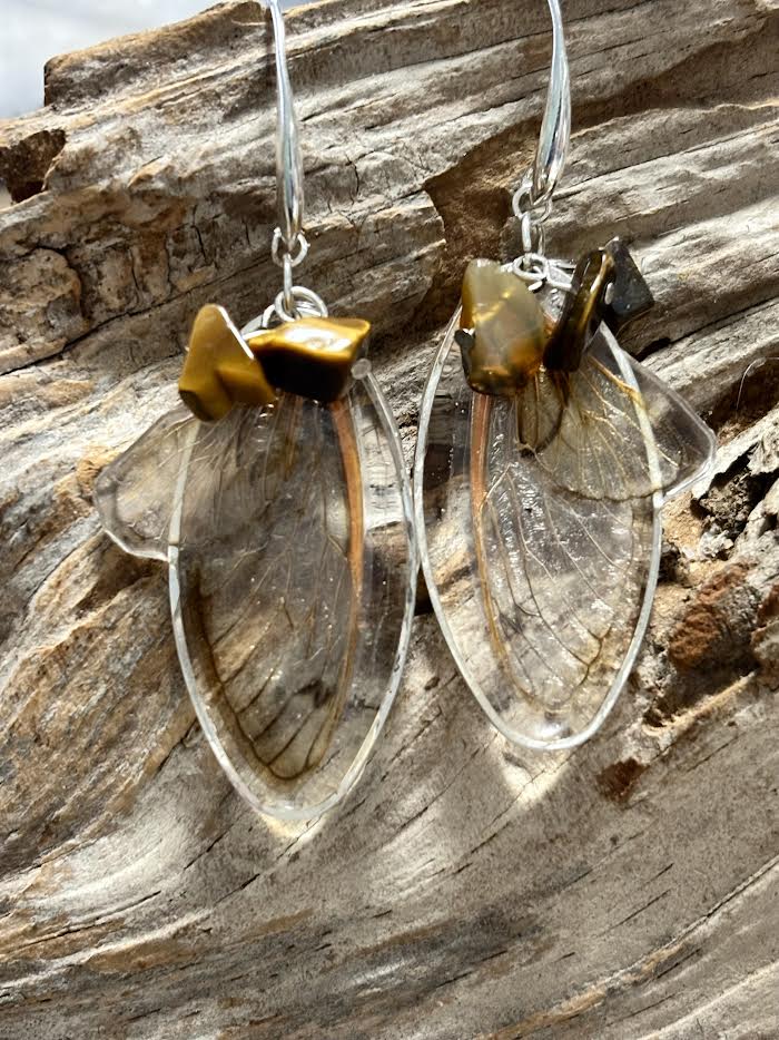 Golden Emergence – Brood XIX Cicada Wing Earrings