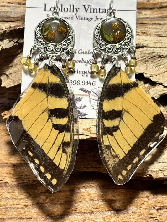 Golden Swallowtail Wing Earrings
