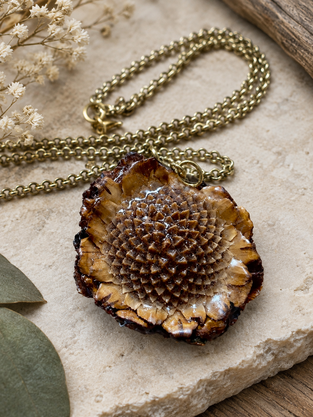 From the Forest Floor