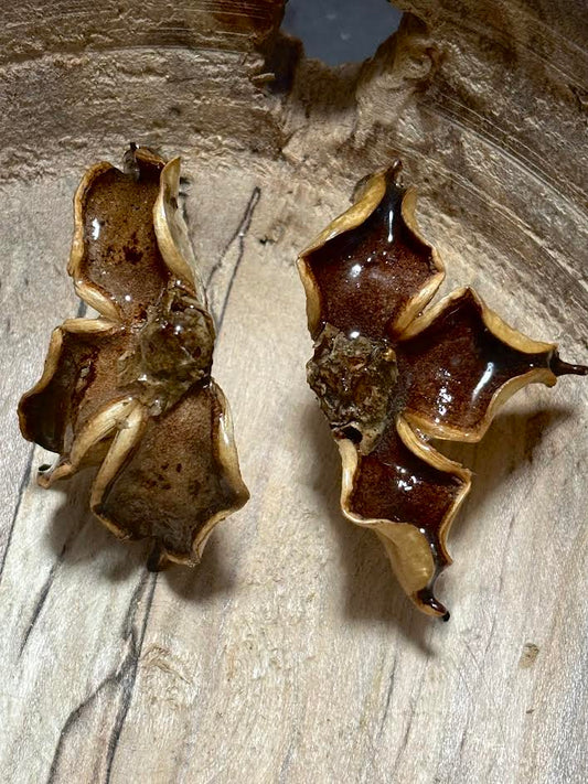 Cotton Husk Relic Stud Earrings