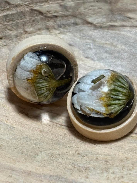 Real Oak & Wildflower Dome Studs