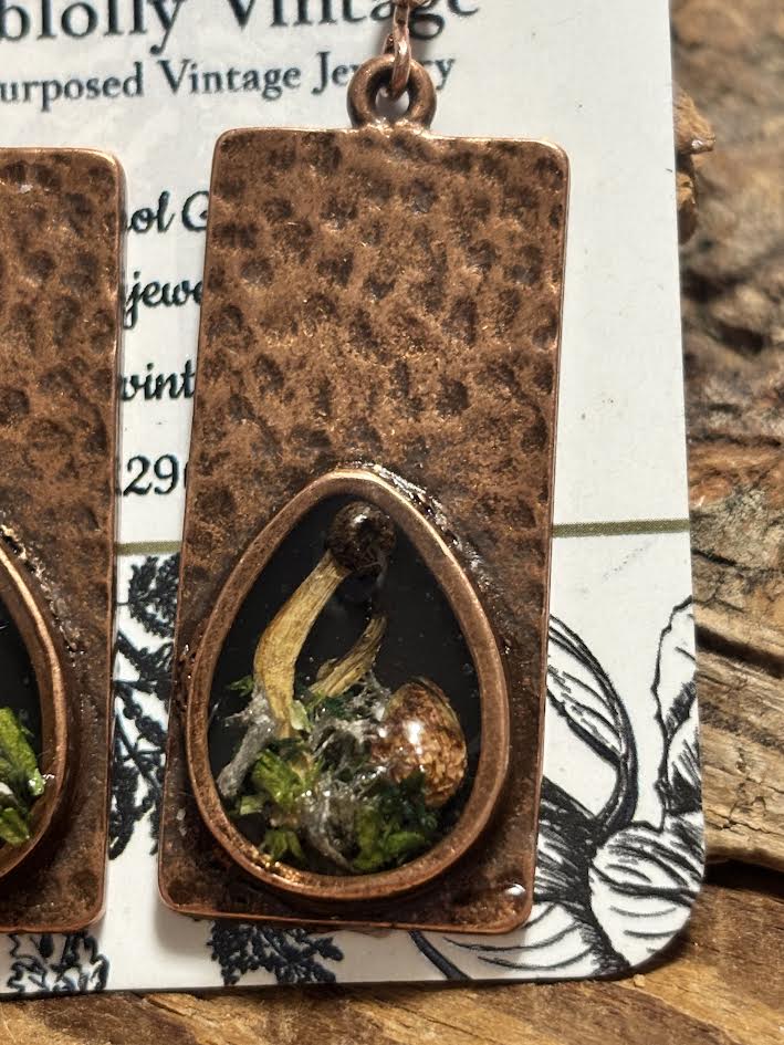 Copperwood Earrings