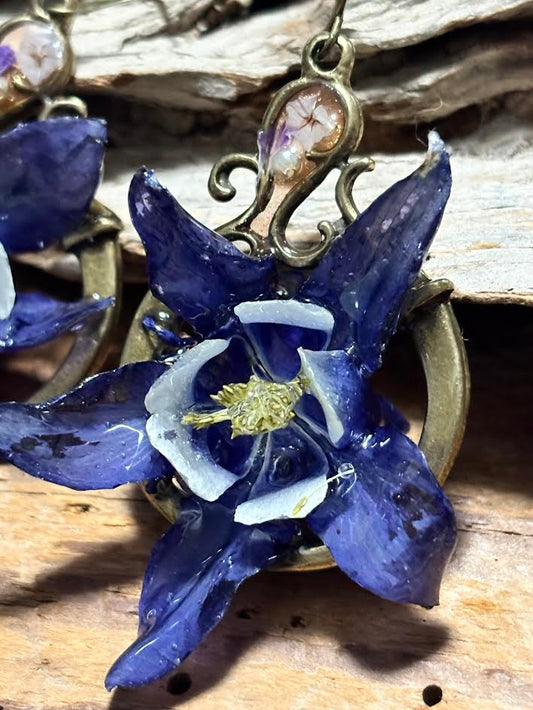 Columbine in Blue