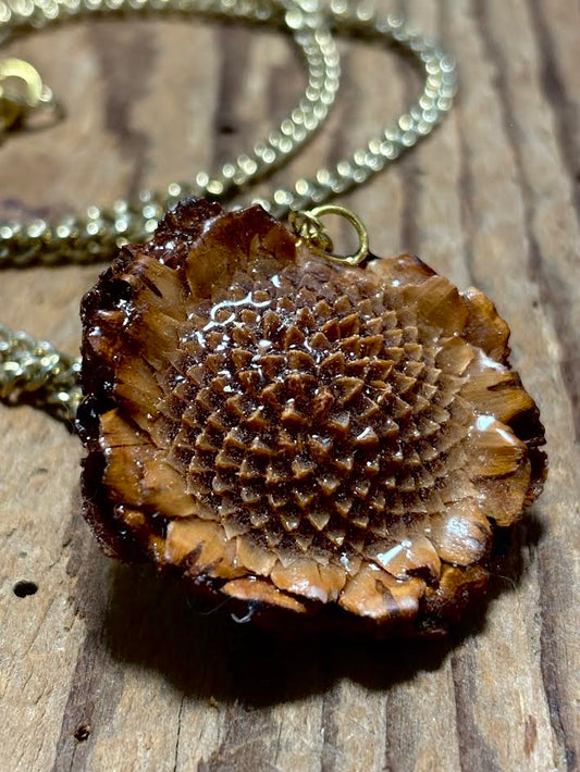 Protea Pod Relic Necklace