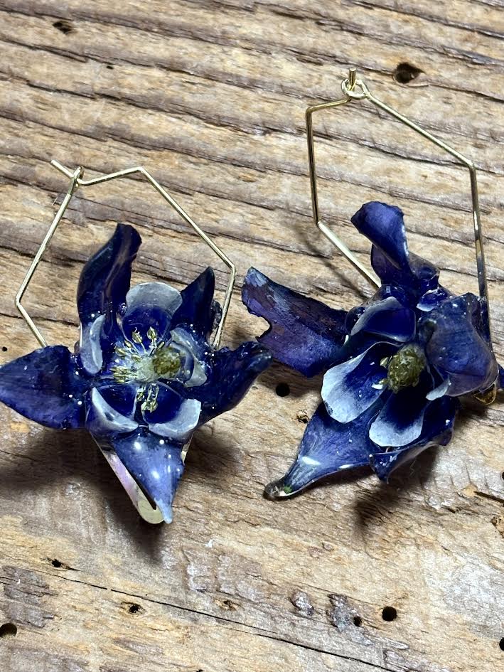 Columbine in Blue