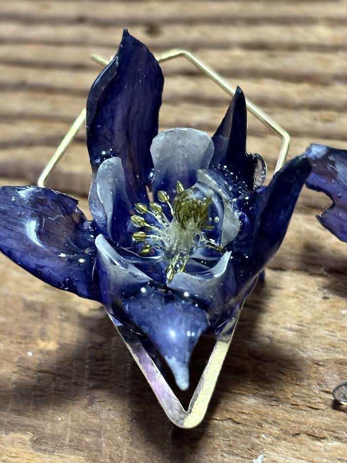 Columbine in Blue