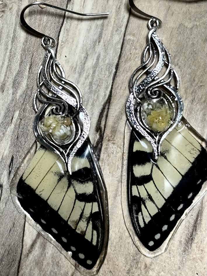 Fragments of Flight - Tiger Swallowtail Wing Earrings
