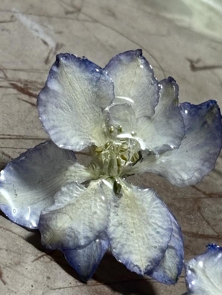 Lavender Larkspur Everheld Earrings