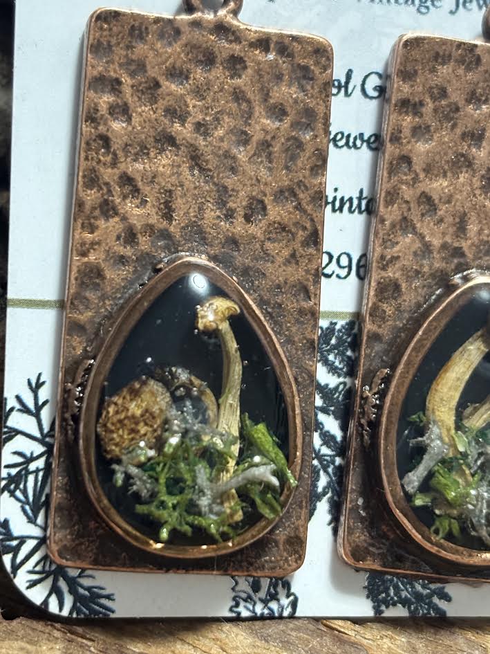 Copperwood Earrings