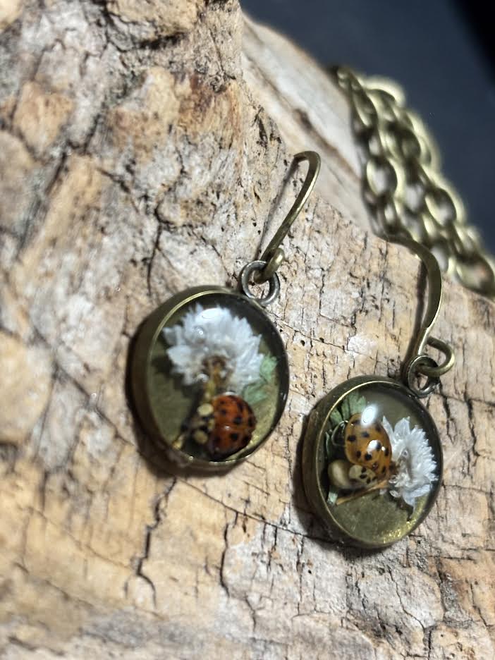 Ladybug Wishes Earrings