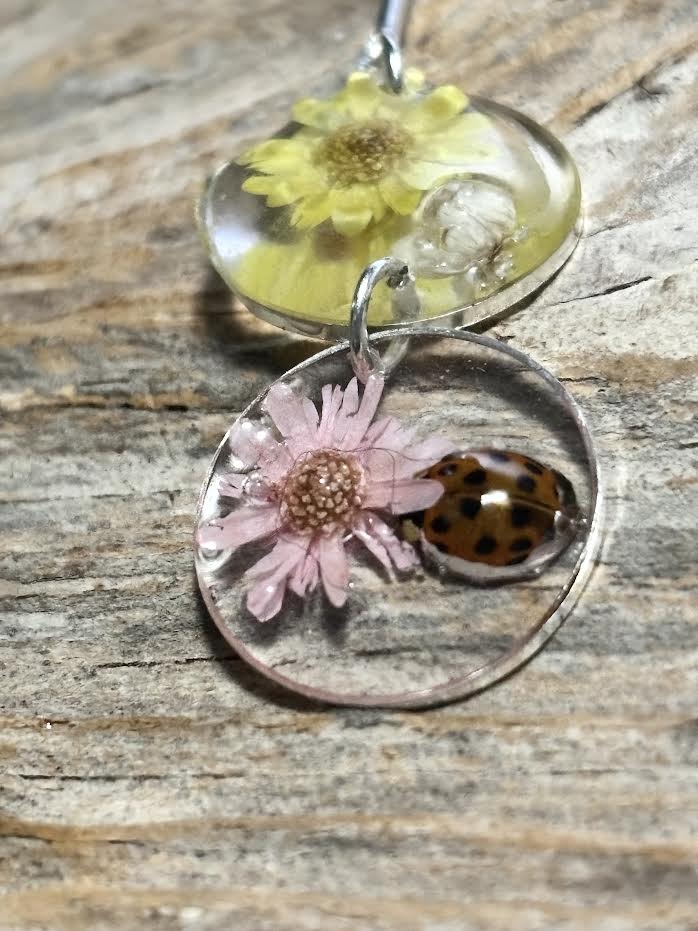 Nature's Tiny Wonders