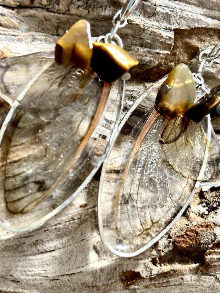 Golden Emergence – Brood XIX Cicada Wing Earrings