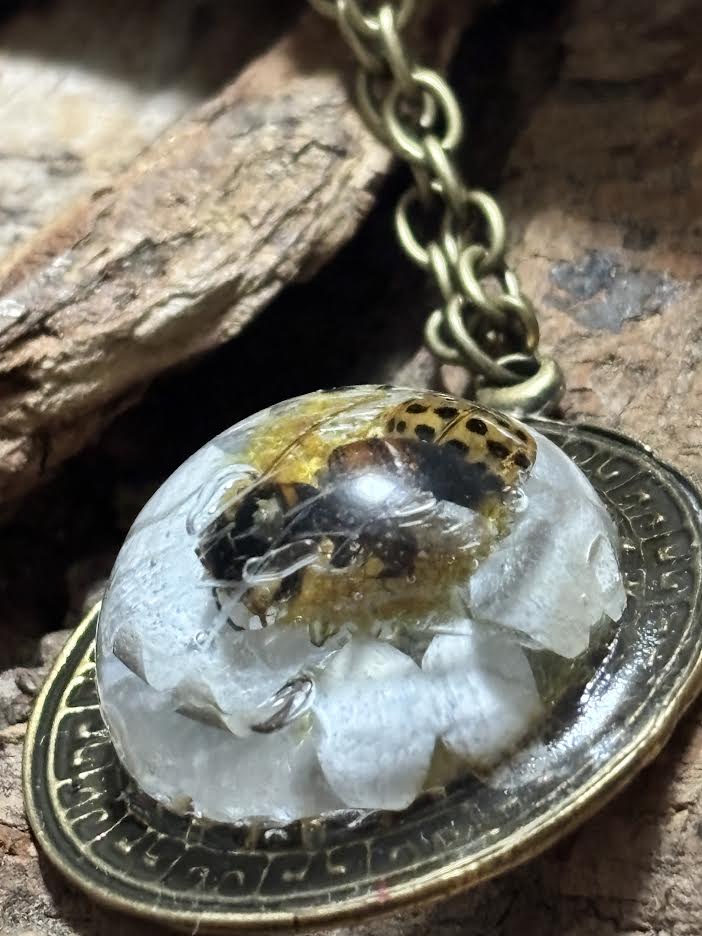Little Wonders of the Wild Necklaces