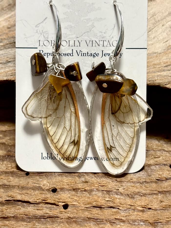 Golden Emergence – Brood XIX Cicada Wing Earrings
