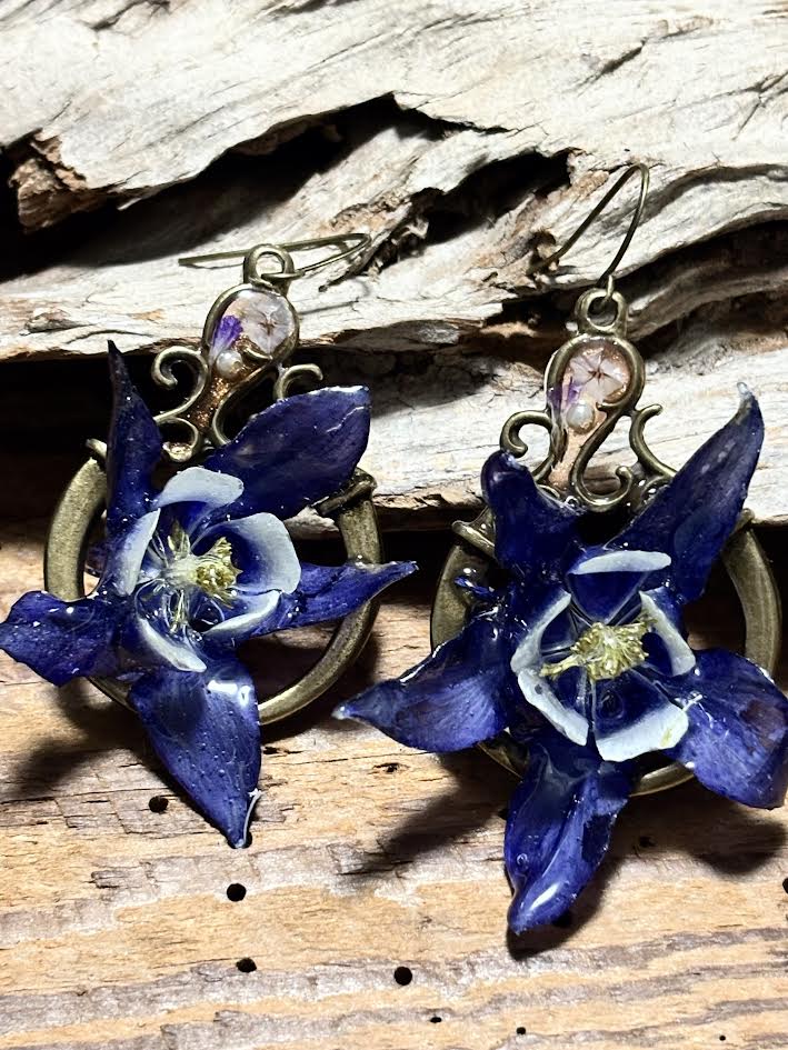 Columbine in Blue