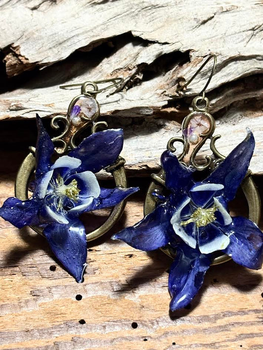 Columbine in Blue