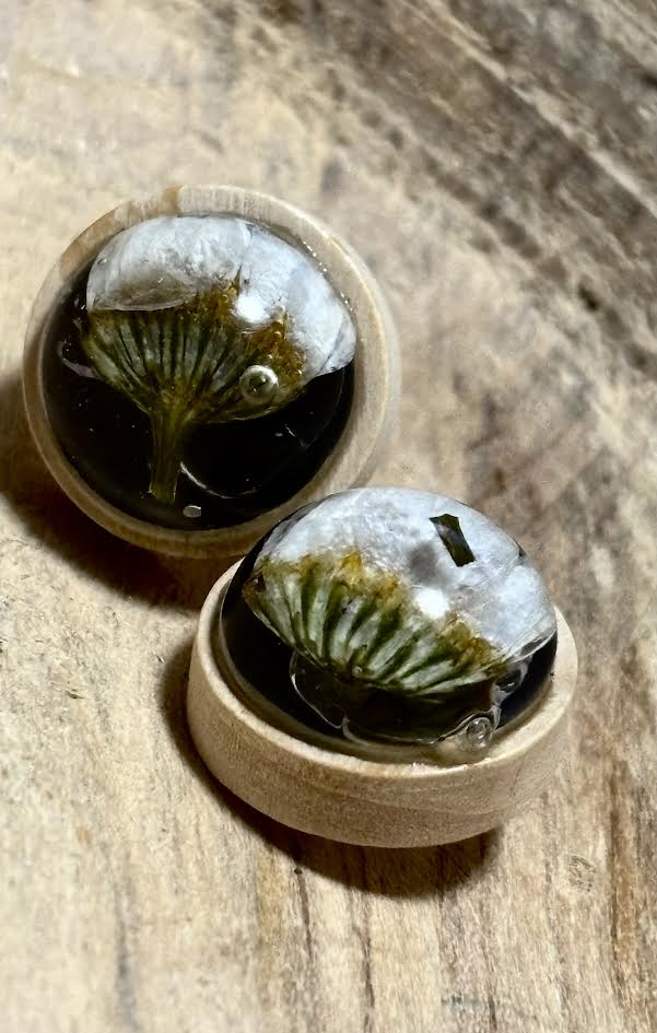 Real Oak & Wildflower Dome Studs