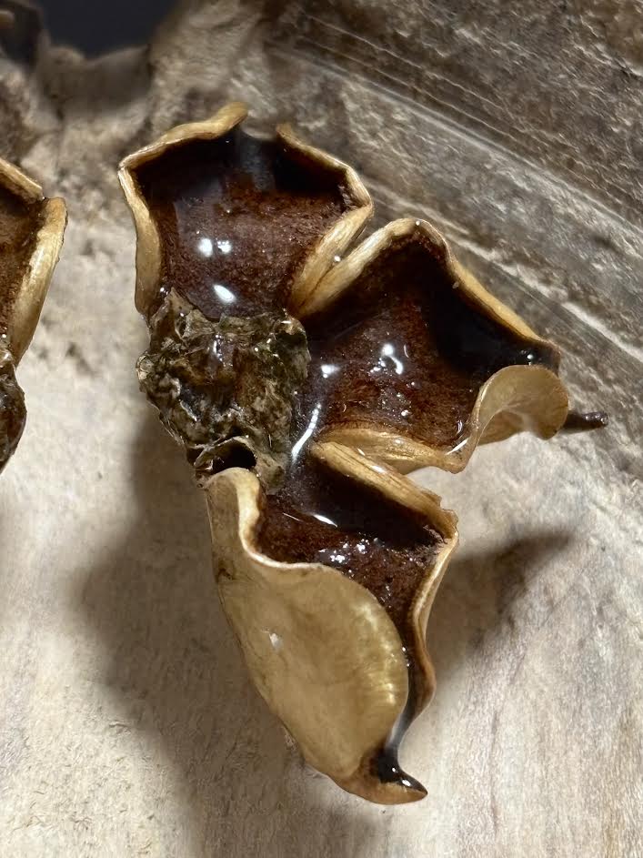 Cotton Husk Relic Stud Earrings