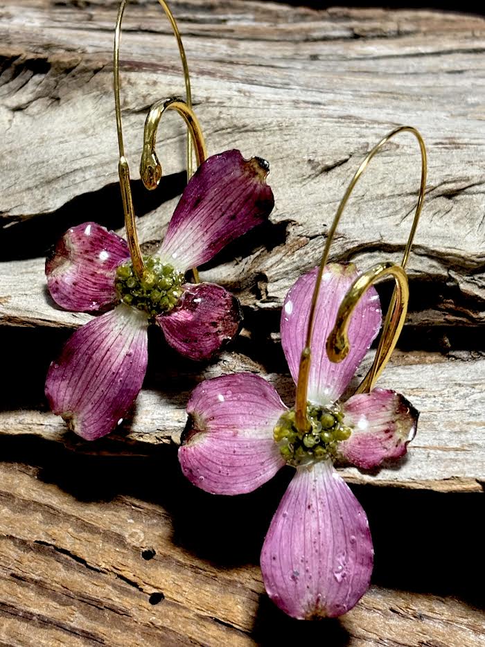 A Dogwood Season