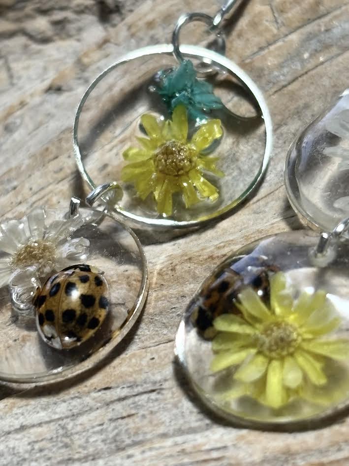 Nature's Tiny Wonders