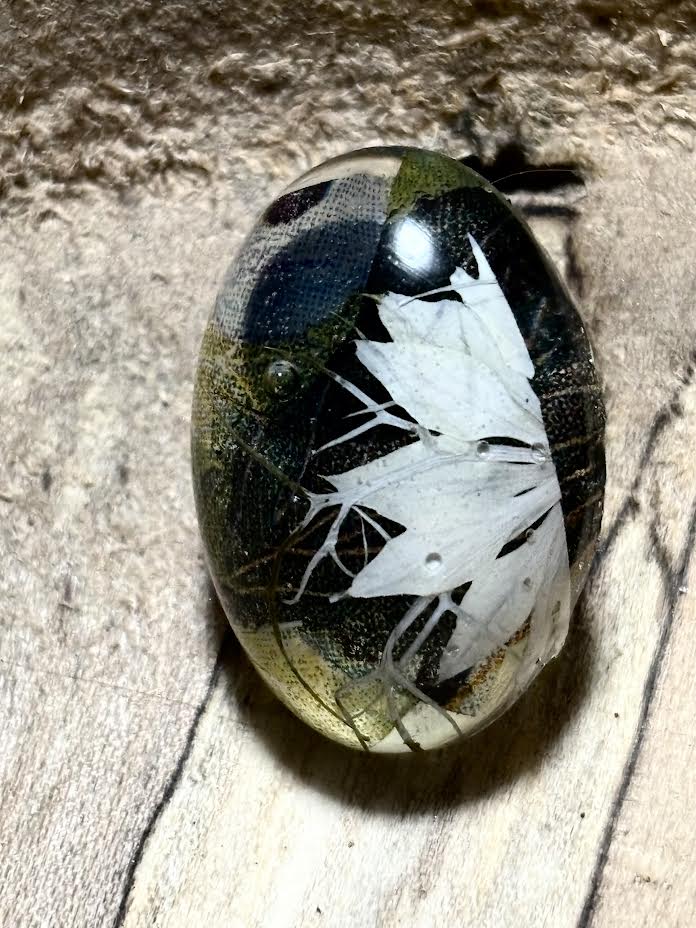 Larkspur Night Bloom Studs