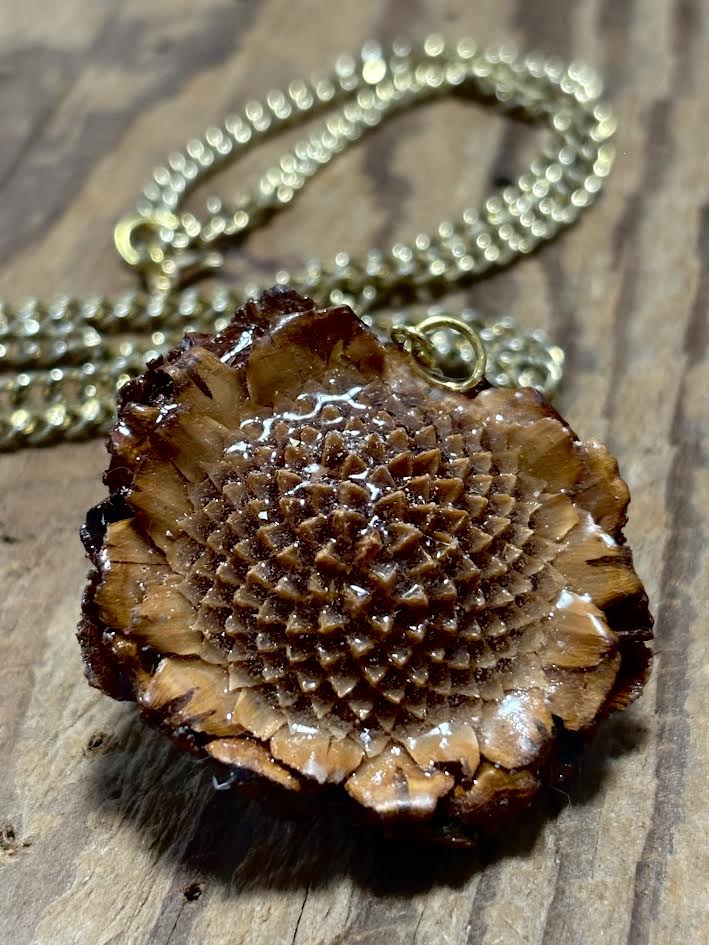 Protea Pod Relic Necklace
