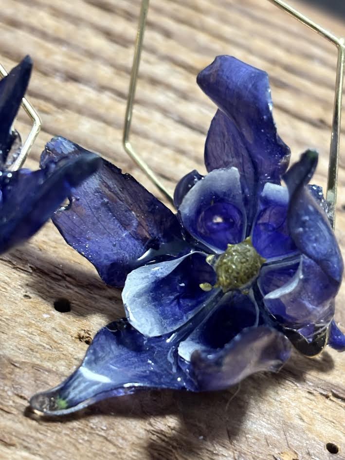 Columbine in Blue