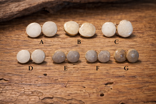 Forest Floor Antler Studs