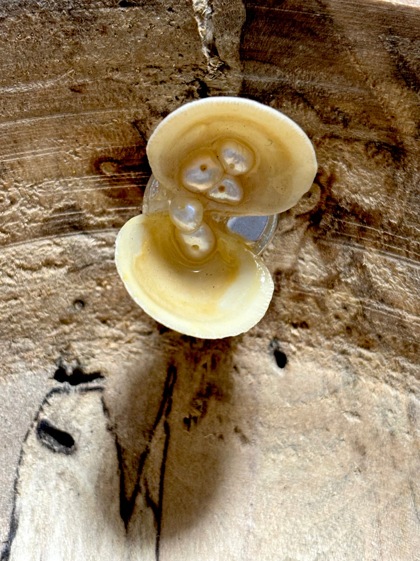 Tidal Whisper Ring