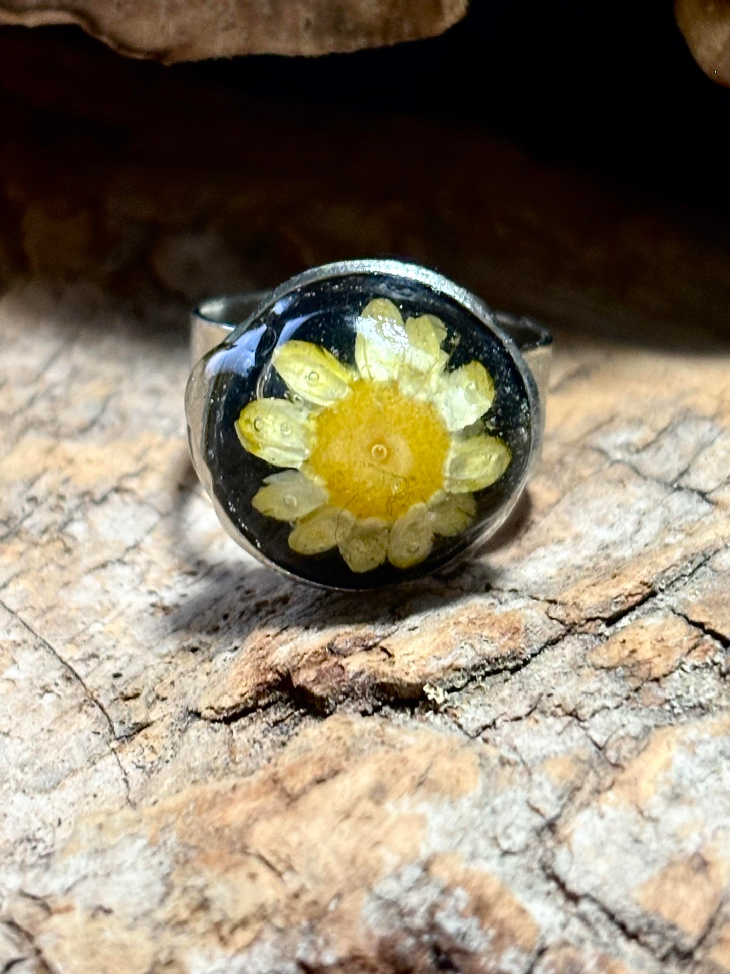 Rings of Remembrance